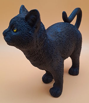 Schwarzer Kater
