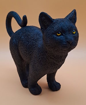 Schwarzer Kater
