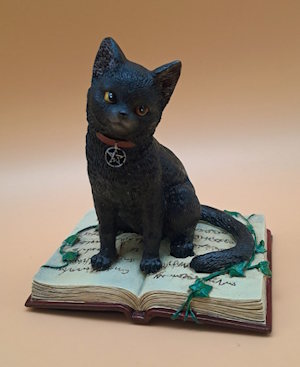 Bücherkatze
